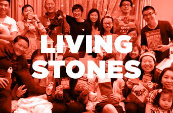 Living Stones